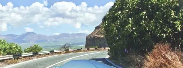 Билет №5, вопрос №5: О чем предупреждает Вас вертикальная разметка, нанесенная на ограждение дороги?