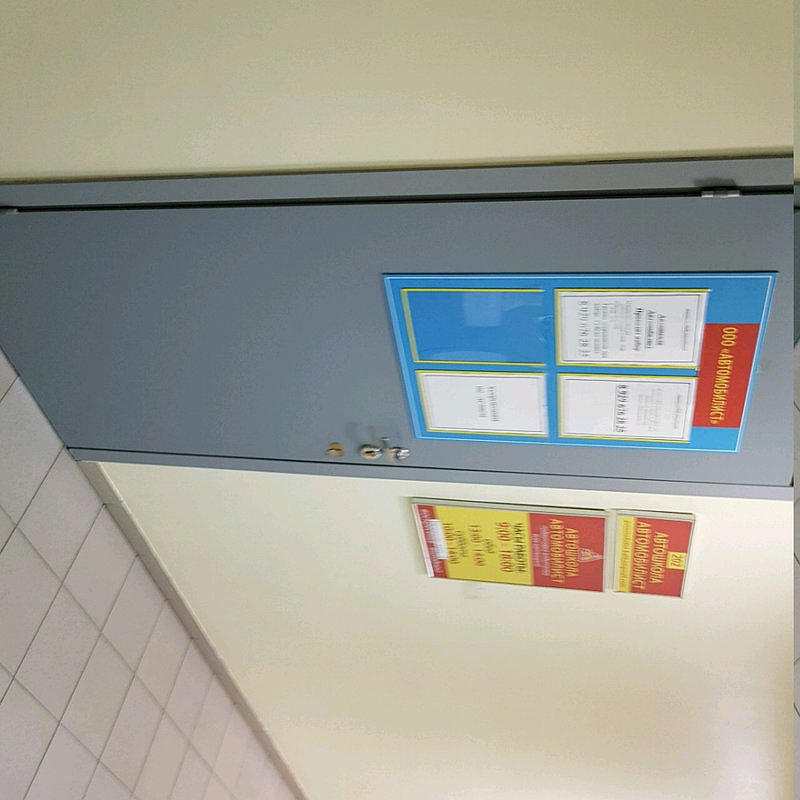 Автомобилист