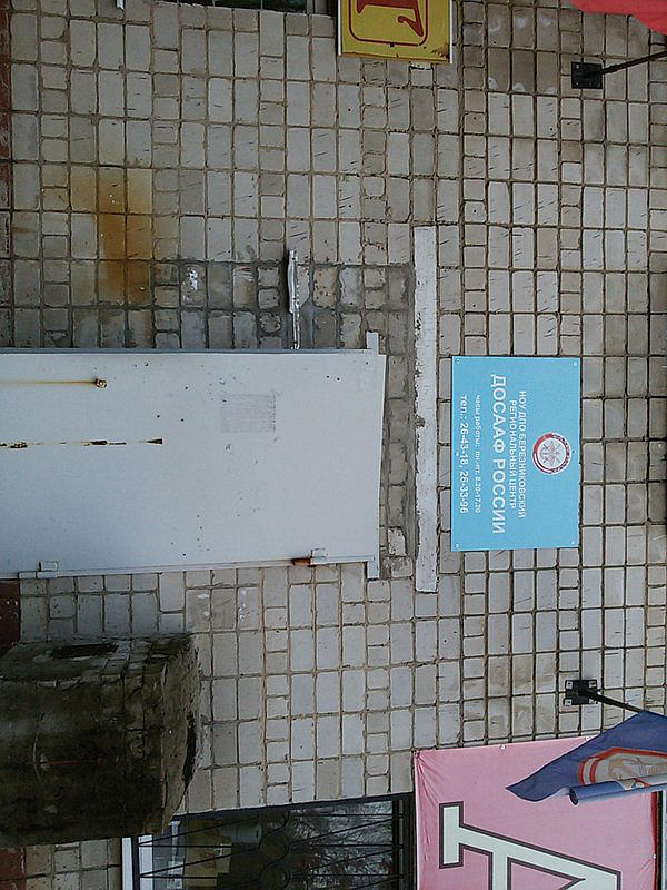 Профессиональное образовательное учреждение Березниковский региональный центр ДОСААФ России