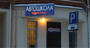 Профессионал