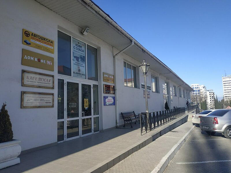 Профессионал