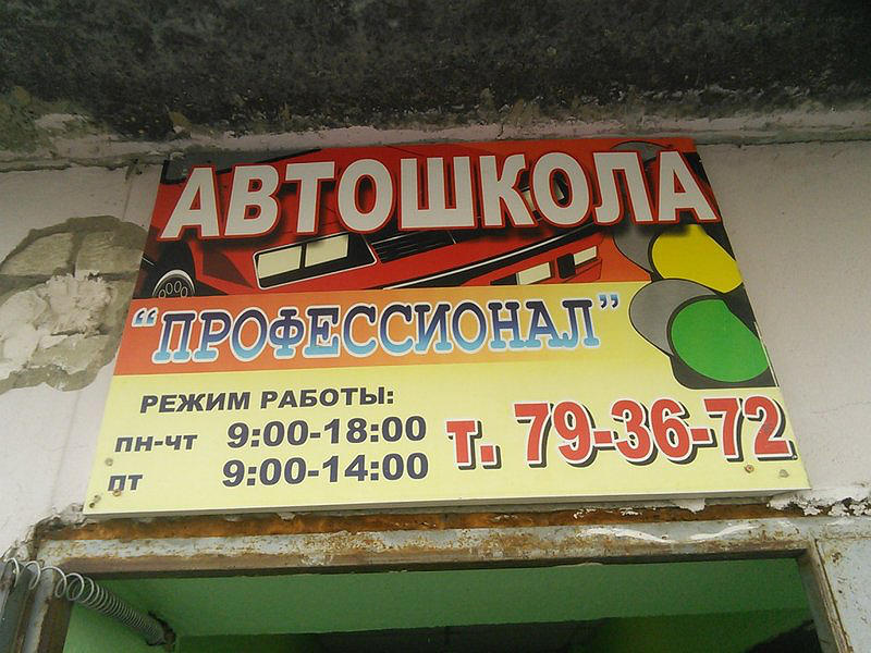 Профессионал