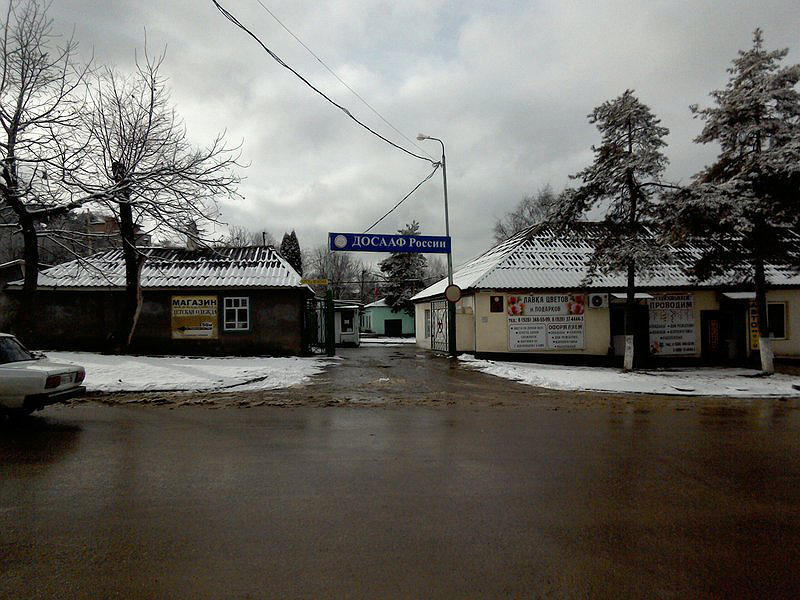 ДОСААФ России города Кисловодска Ставропольского края, Местное отделение