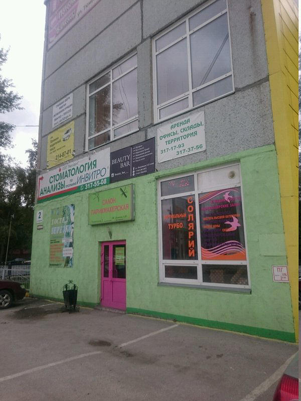 Профессионал