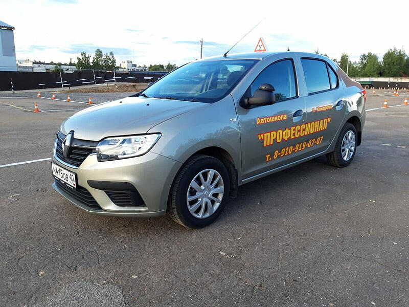 Профессионал