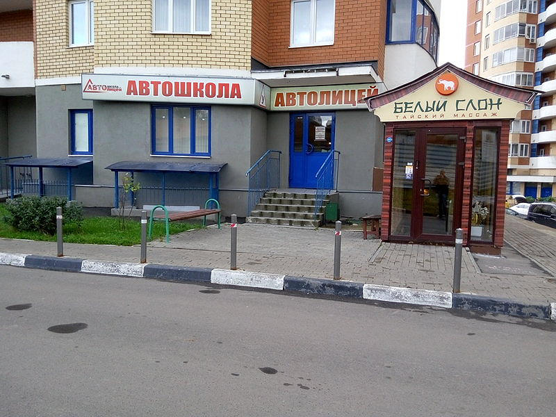 Автолицей