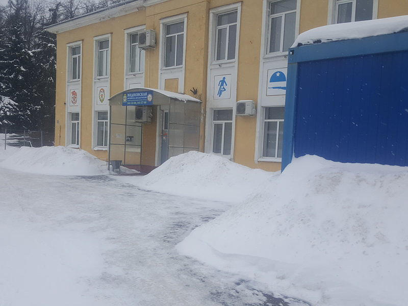 Видновская школа ДОСААФ России