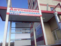 Профессионал