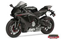 Фиеста Голд