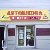 Вектор