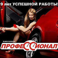 Профессионал